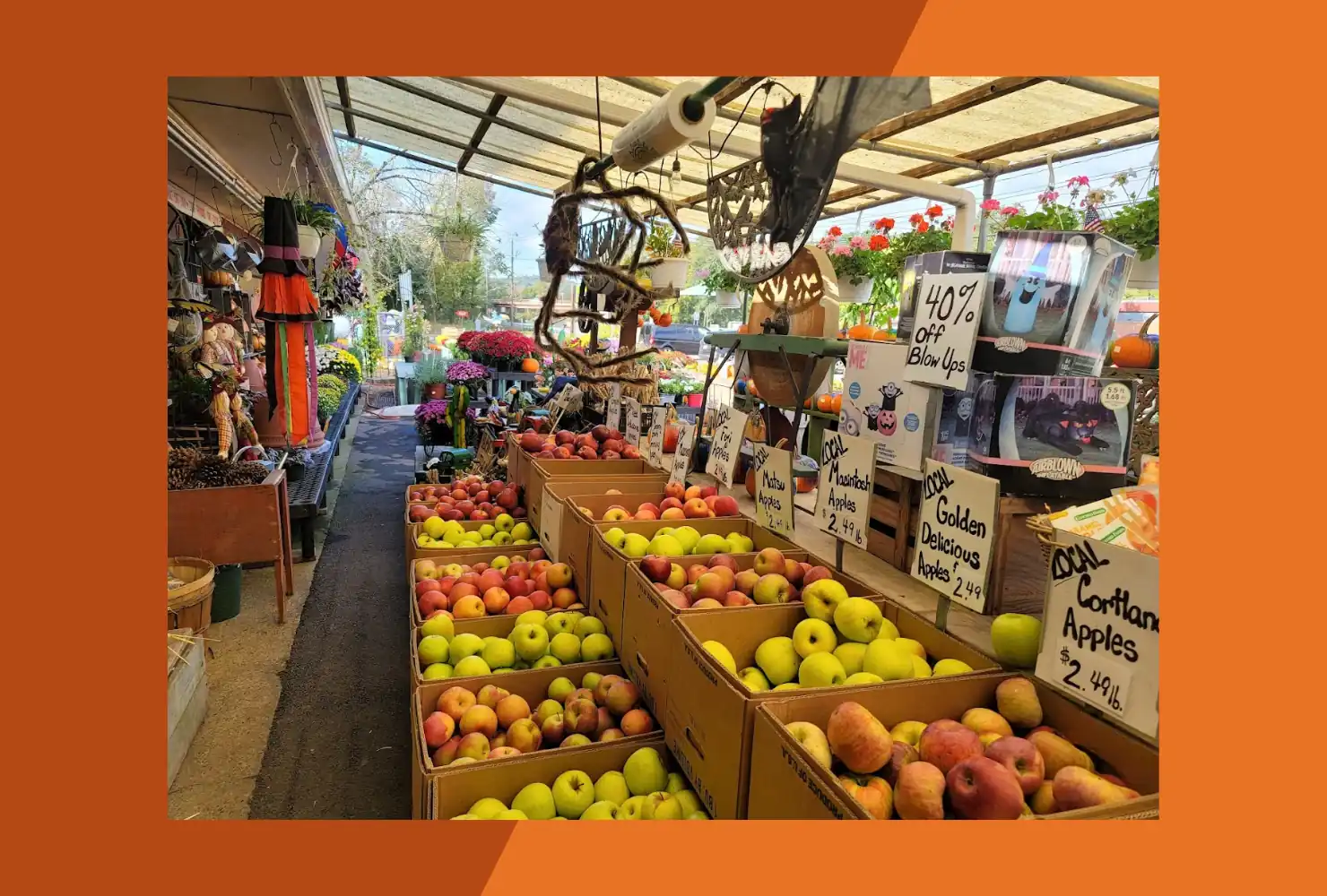 Auntie El's Farm Market