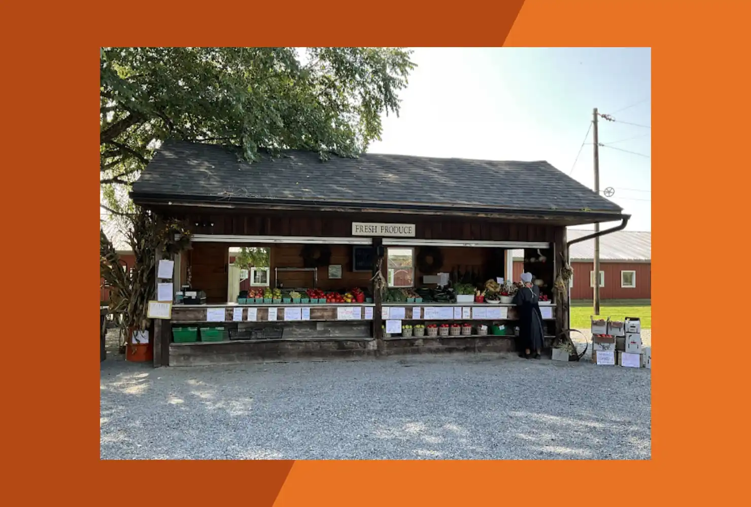 Lapp's Farm Market