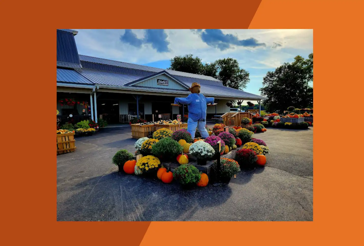 Skelly's Farm Market