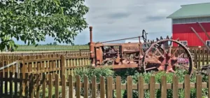 Stade farm