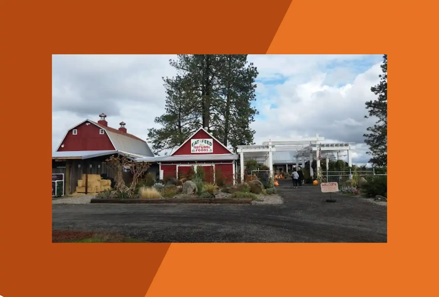 Blooming Junction Garden Center and Farm Market