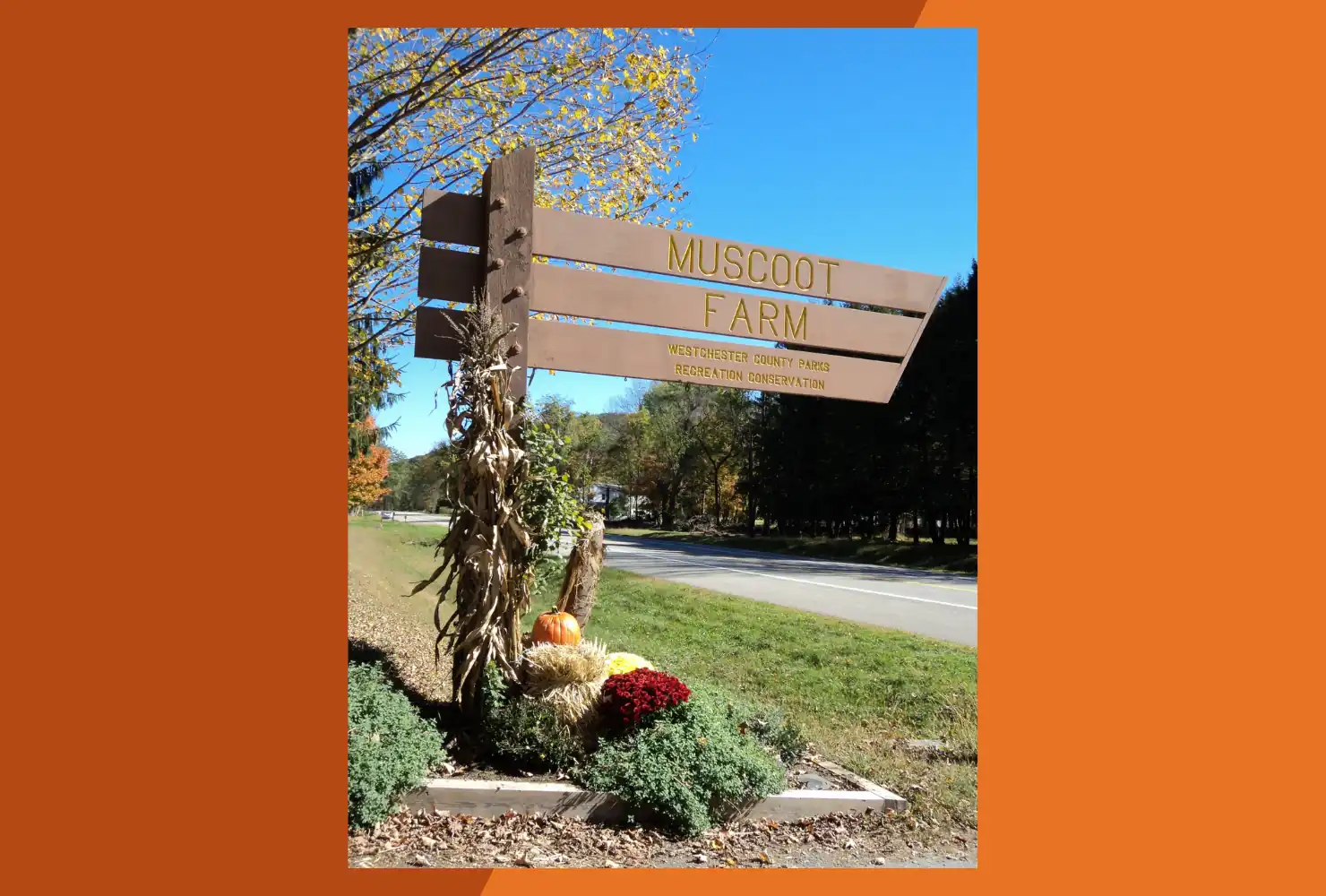 Farmers Market at Muscoot Farm