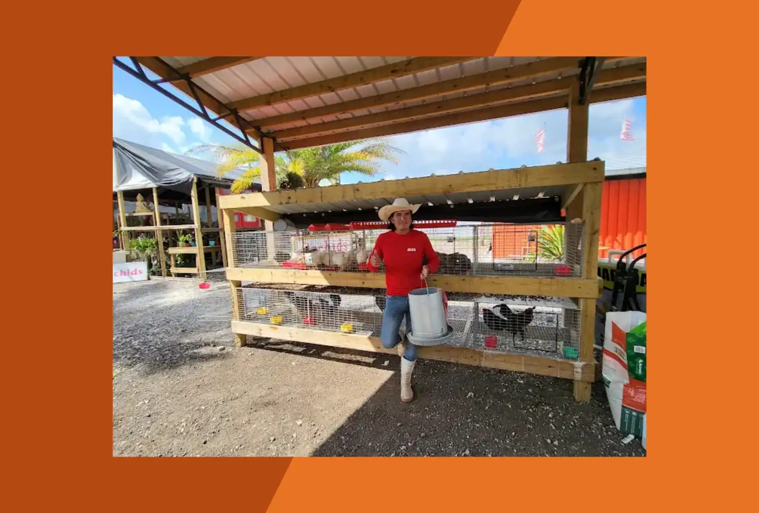 Lily's Farm Animals & Lily's Farmers Market