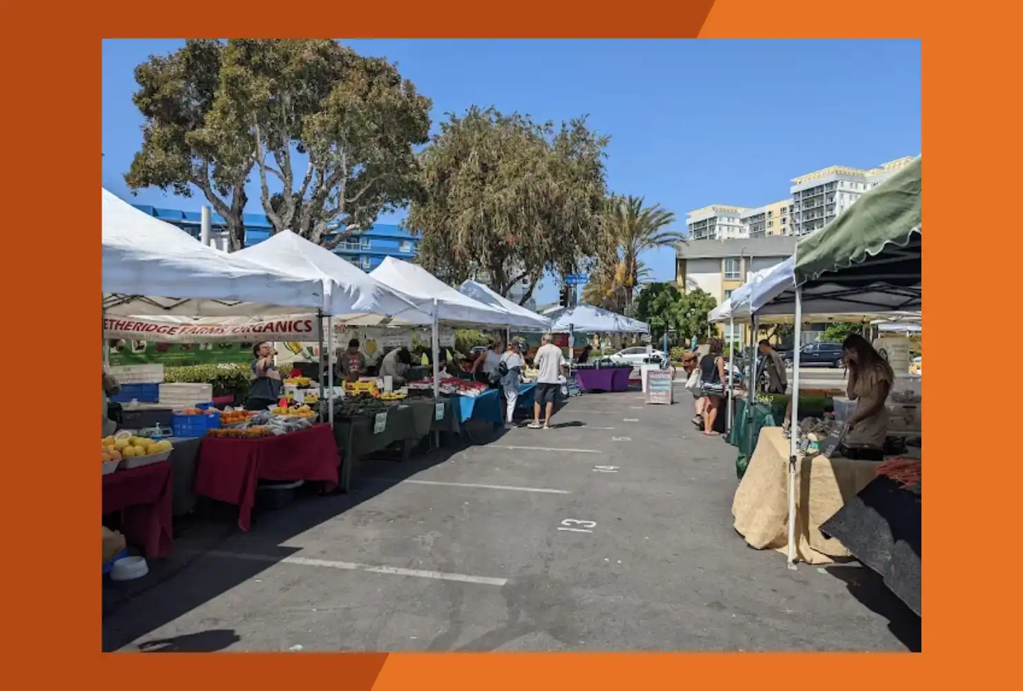 Marina Del Rey Farmer's Market