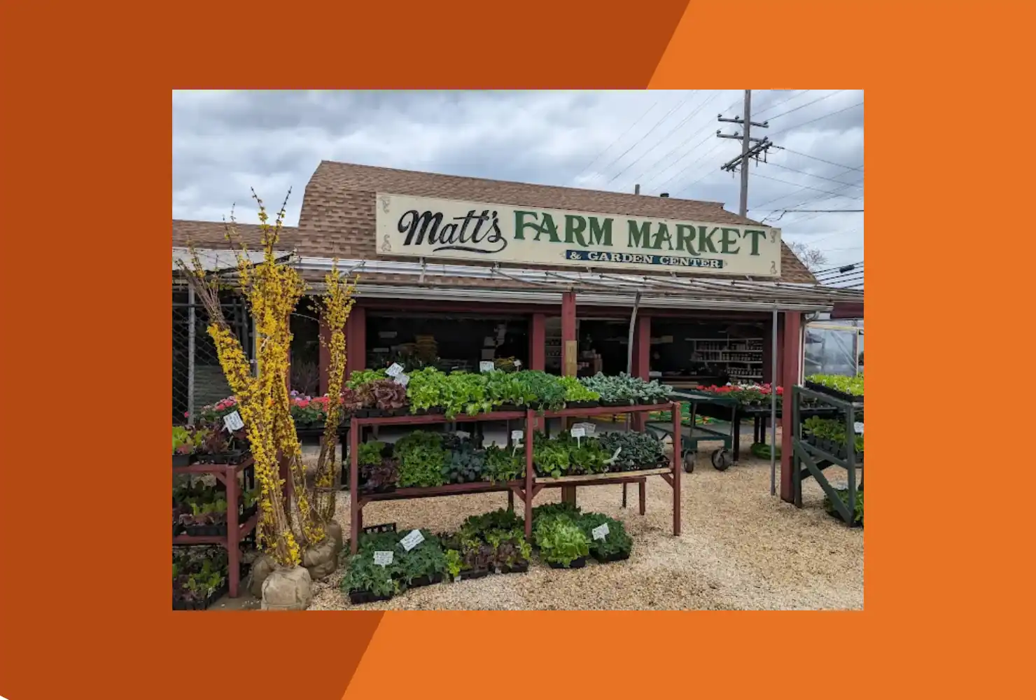 Matt's Farm Market & Garden Center