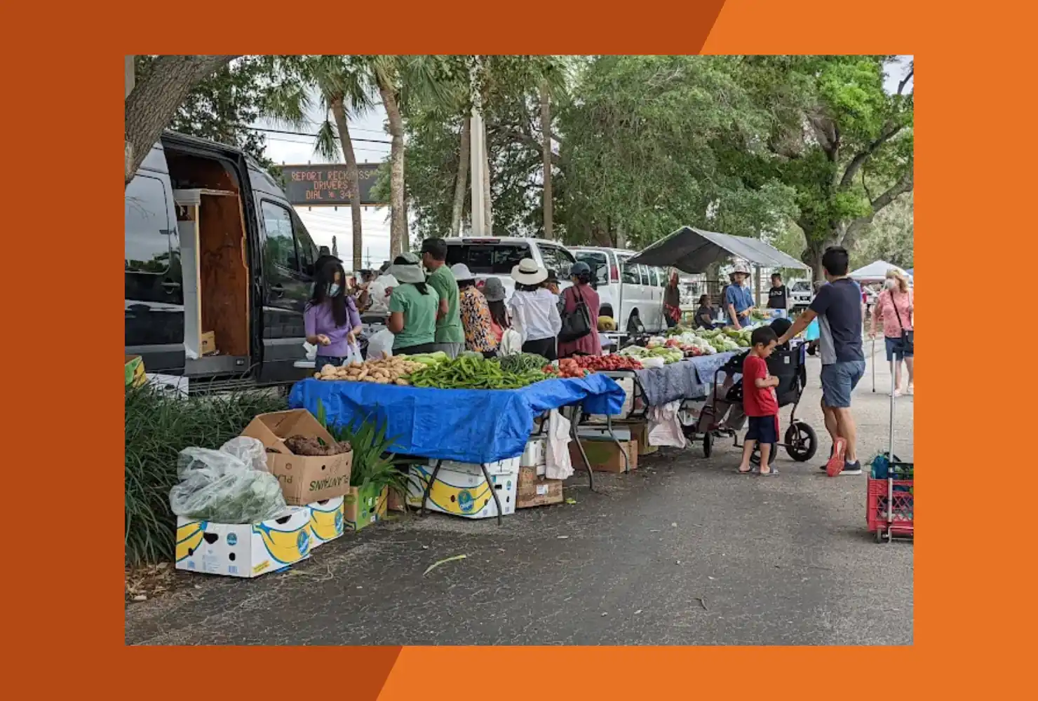 Pinellas Farmers and Flea Market
