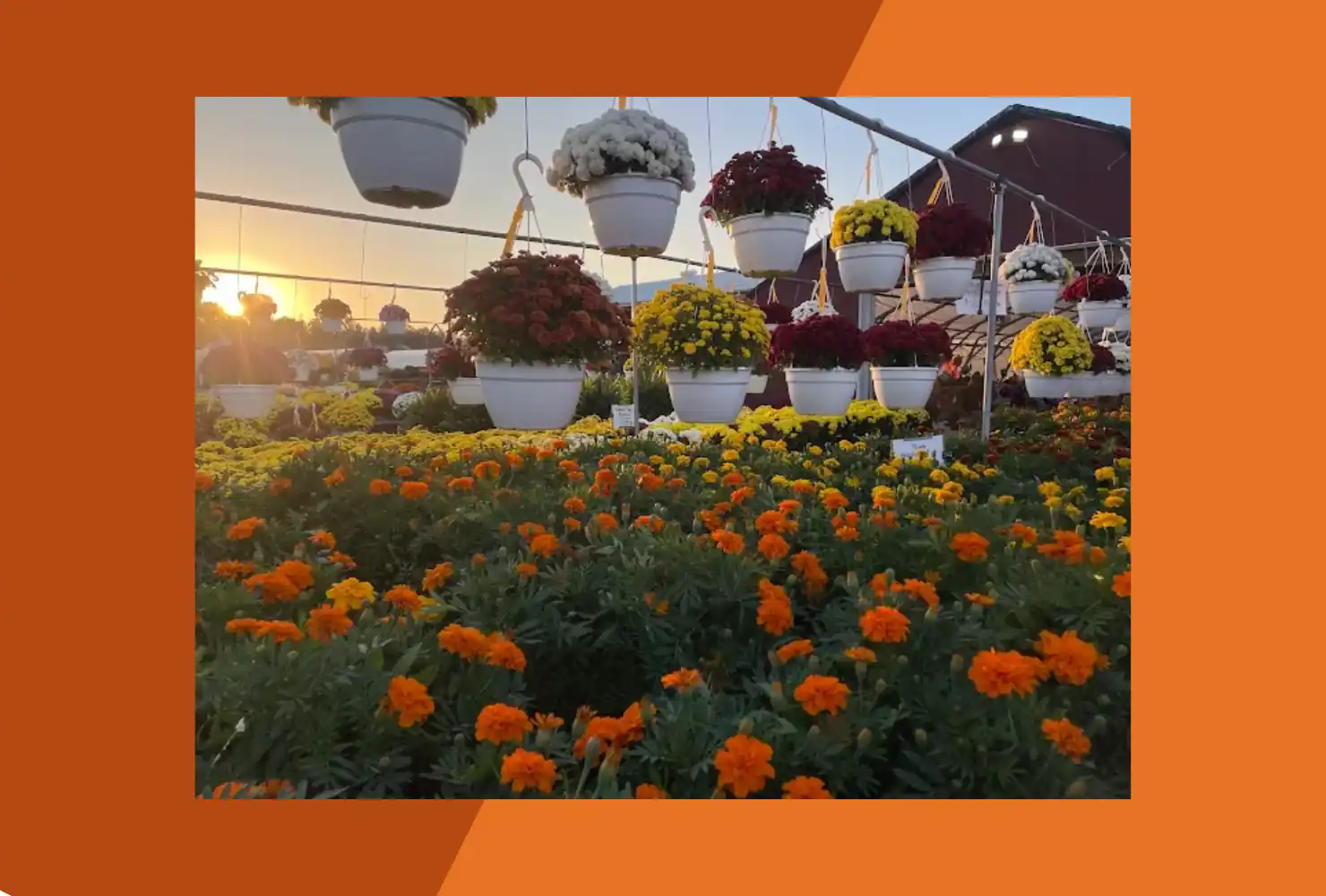 Pop's Farm Market and Garden Center