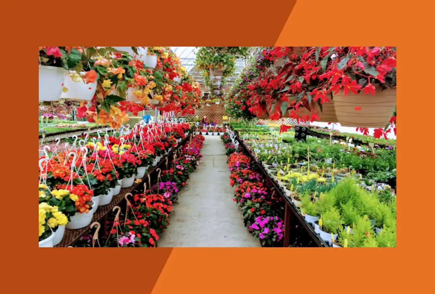 Rich's Greenhouse and Farm Market