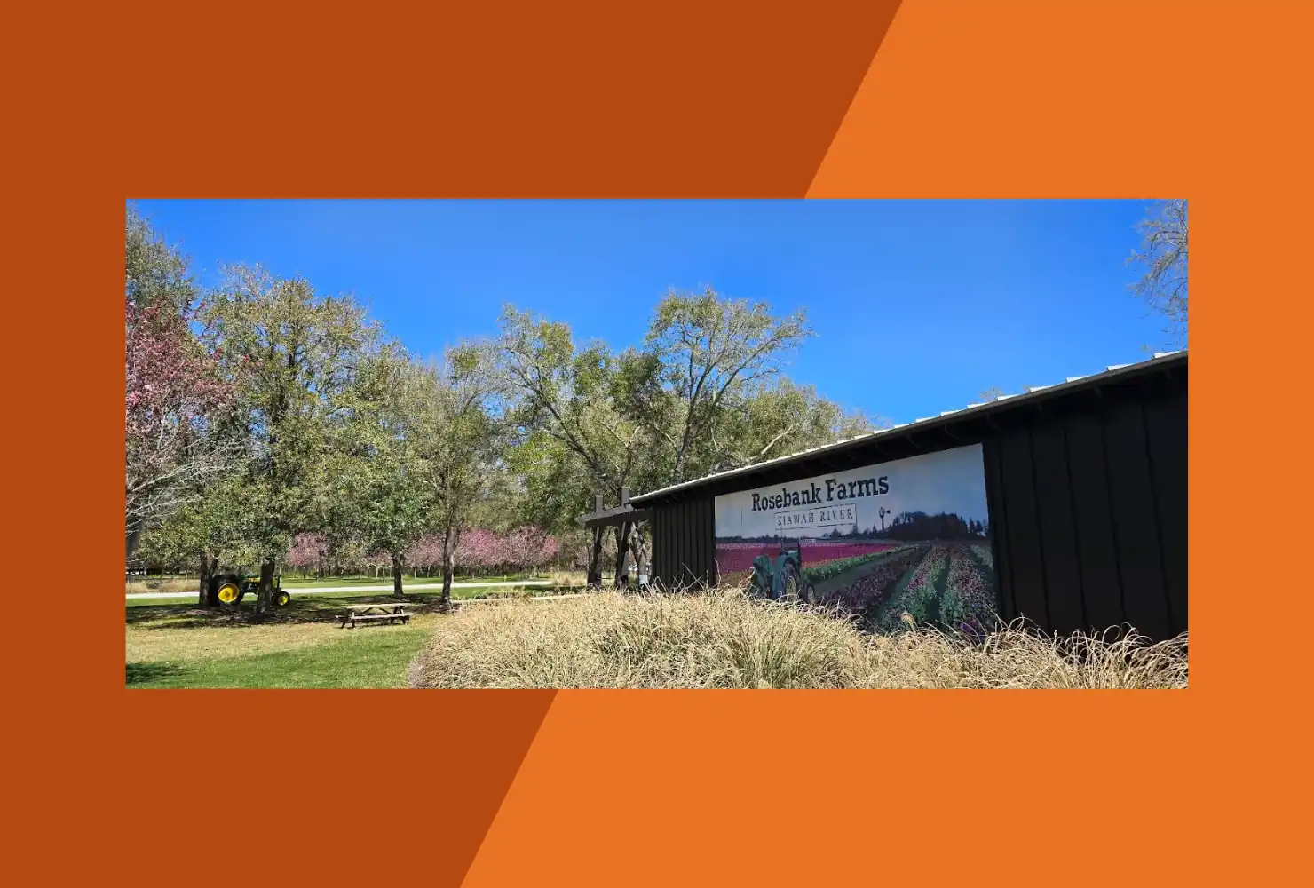 Rosebank Farms Market