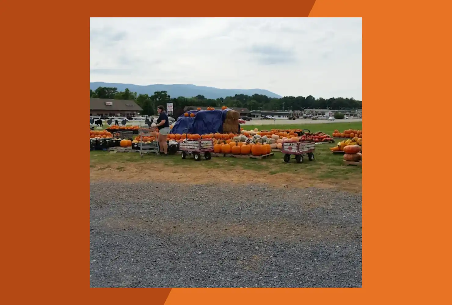 Stuarts Draft Farm Market
