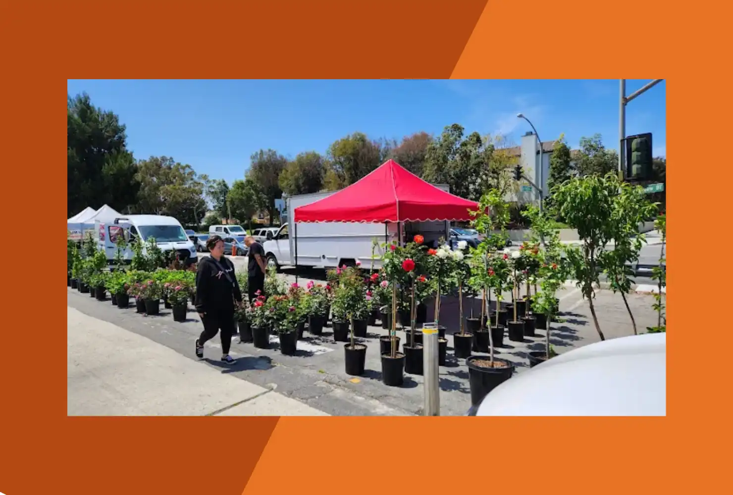 Torrance Certified Farmers' Market