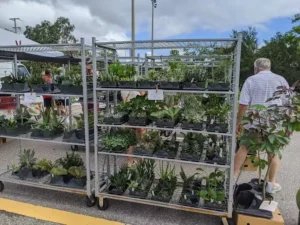 nursery