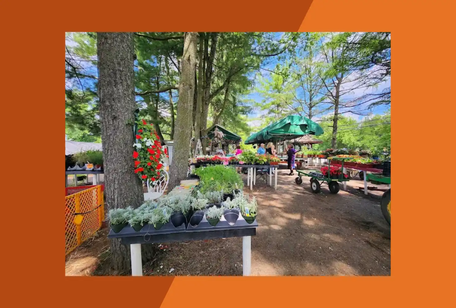 Lew's Farm Market