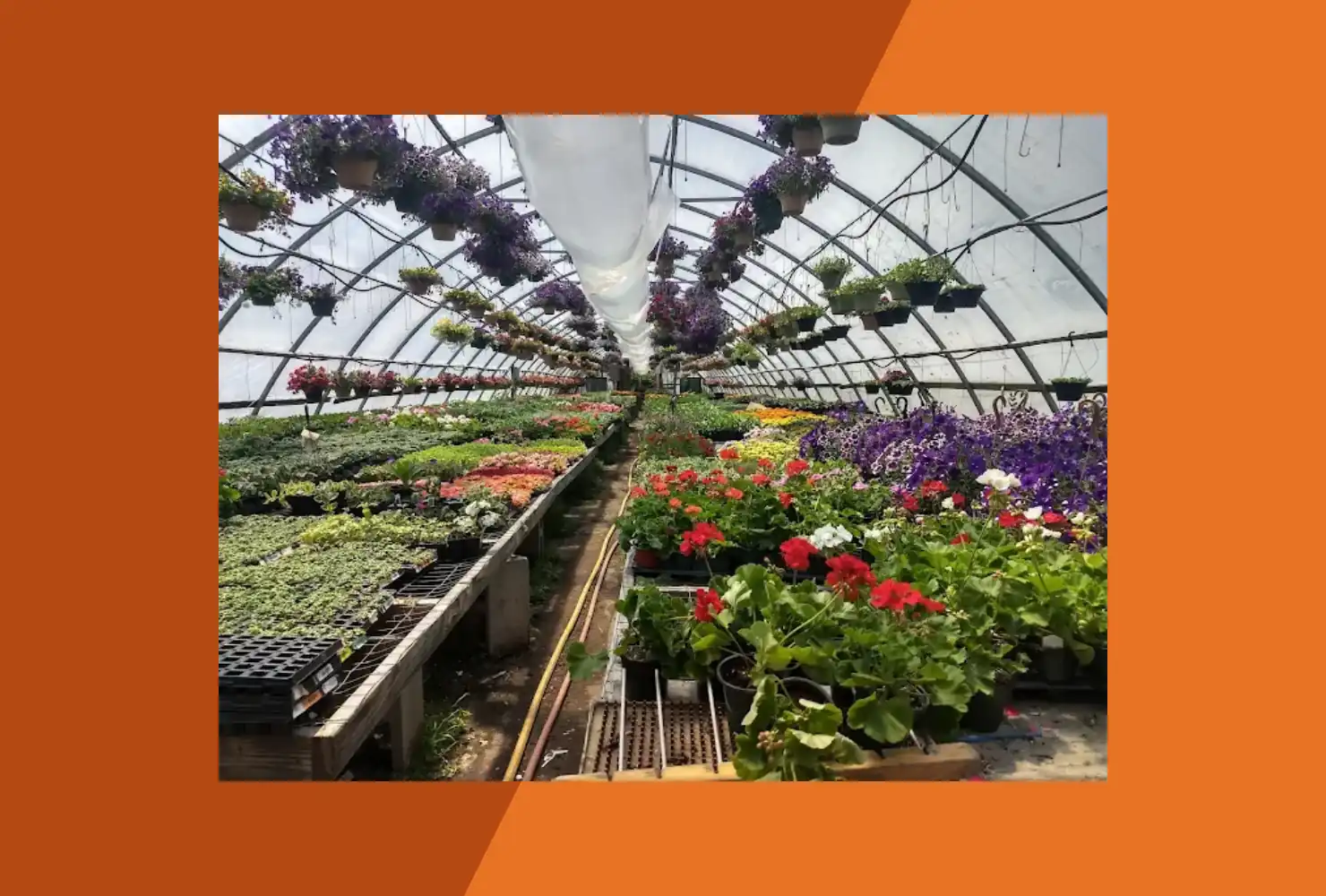 Moore's Farm Market