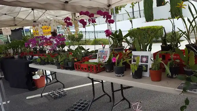Alhambra farmers market