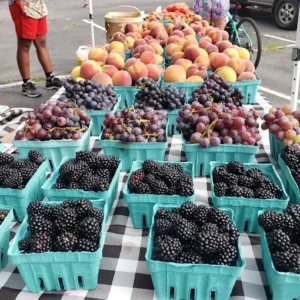 crowd shopping at charlotte’s uptown saturday market