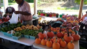 crowds shopping fresh goods
