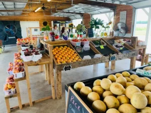fresh fruit display at s&j produce farms