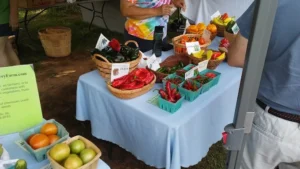 fresh produce at madison city farmers market