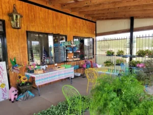 fresh vegetables at handey’s farm montgomery