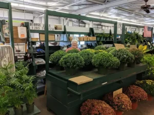 local vendors at montgomery curb market