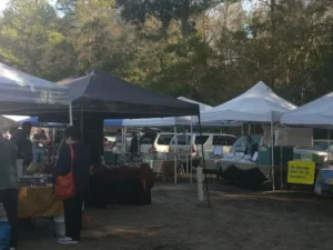 locals shopping at the open-air sea island market