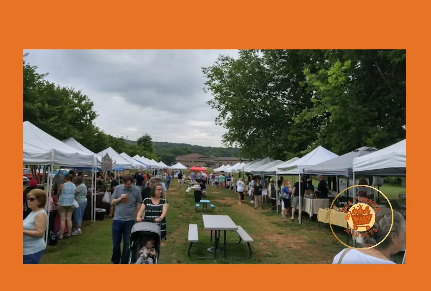 madison city farmers market