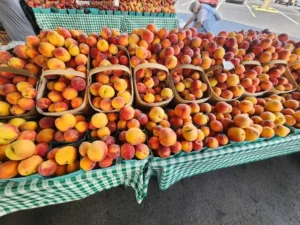 outdoor vendor stands at village at robinson farm