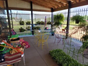 seasonal flower plants at handey’s farm nursery
