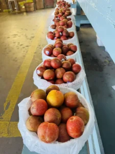 seasonal fruits and greens at wrights produce montgomery