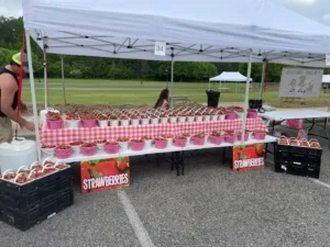 shoppers browsing at ross bridge farmers market