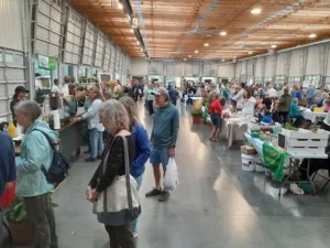 vendors at landrum market