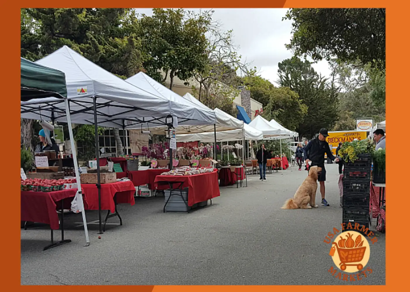 Carmel-by-the-Sea Farmers Market California