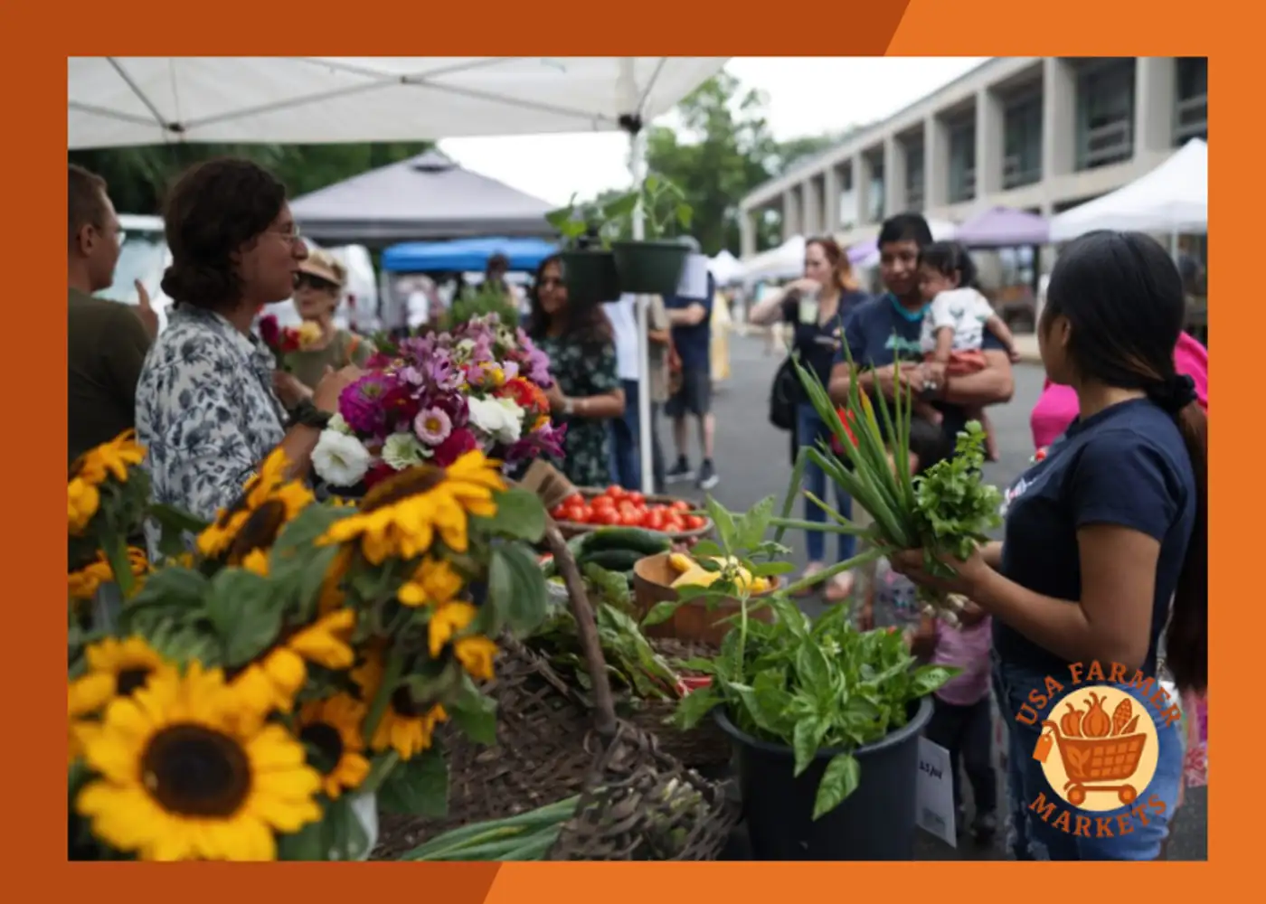 CitySeed Downtown Farmers Market Connecticut