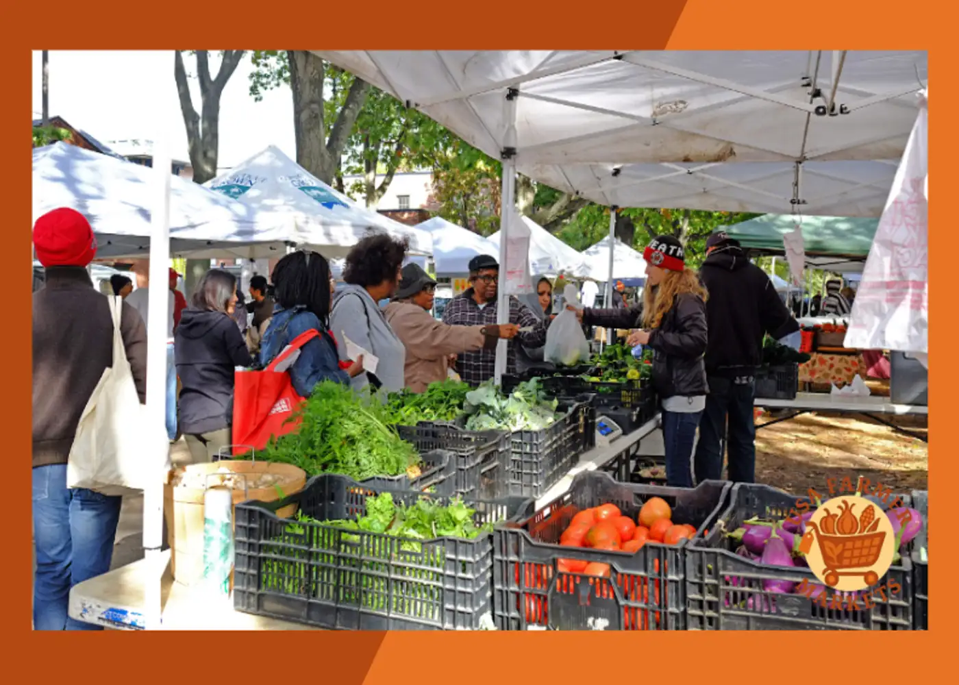 CitySeed Edgewood Park Farmers Market Connecticut