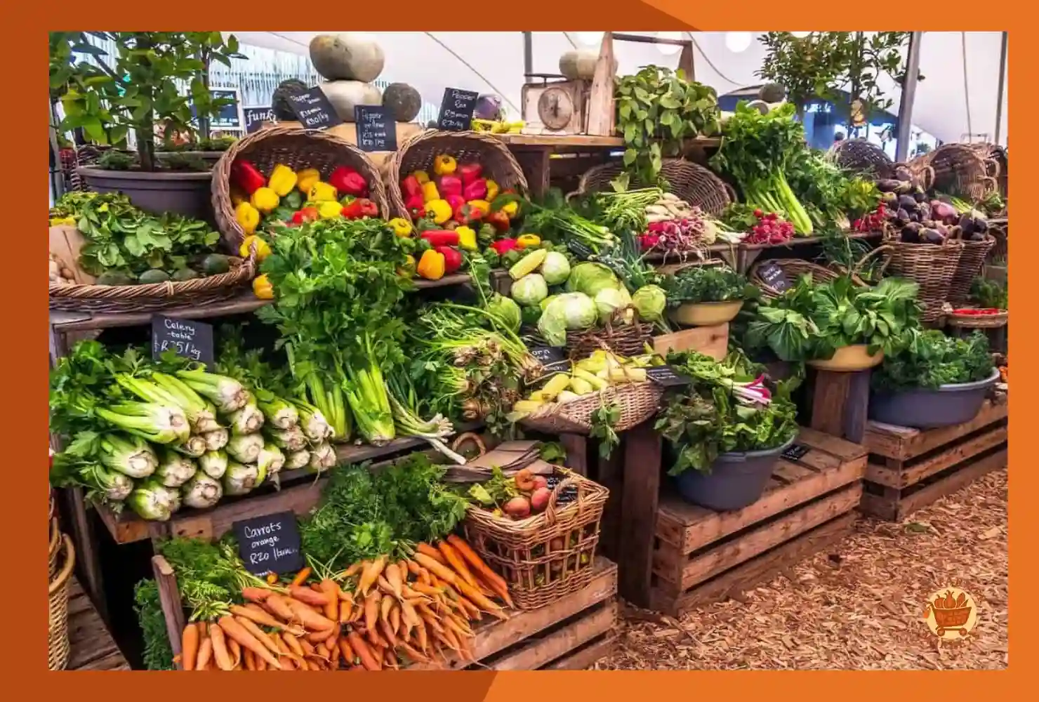 Designing a Successful Farmers Market