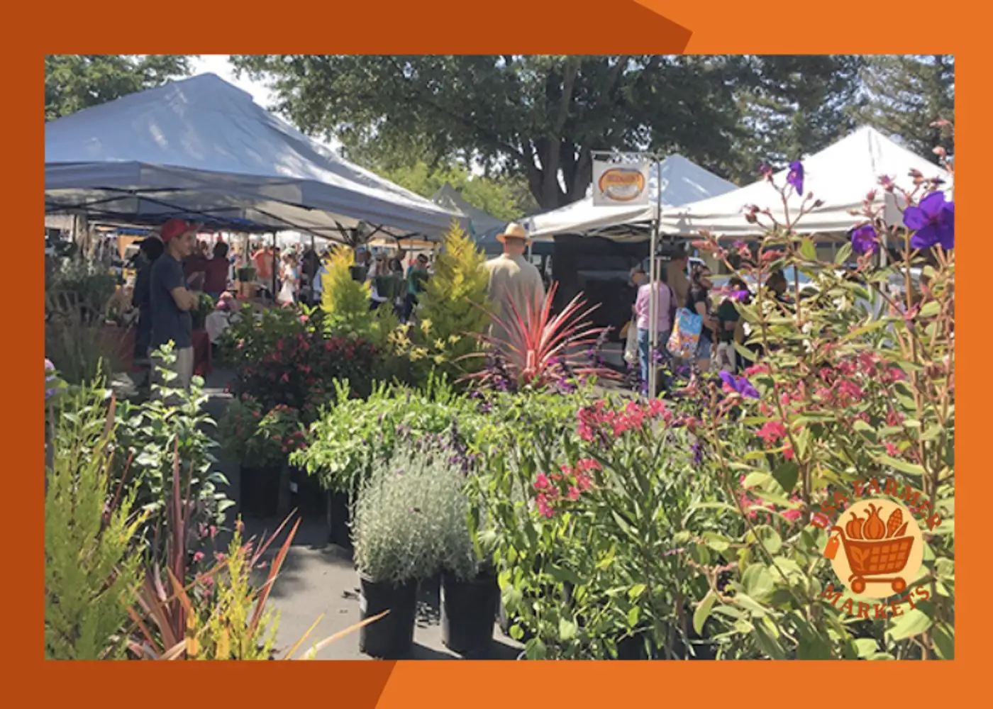 Diablo Valley Farmers’ Market California