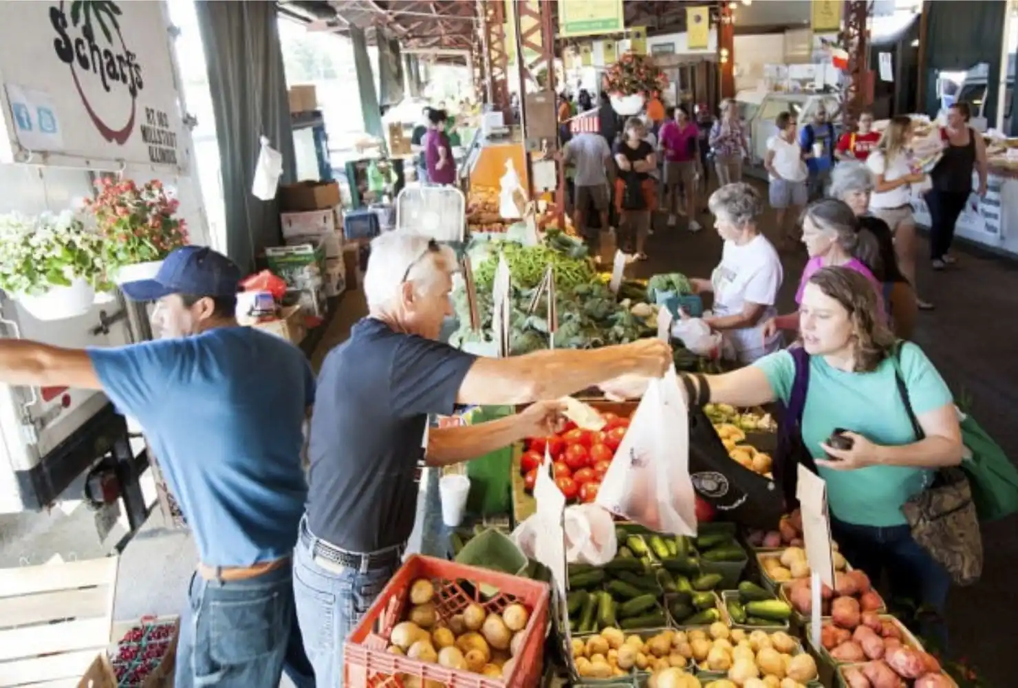 Farmers Market Establish Market Structure