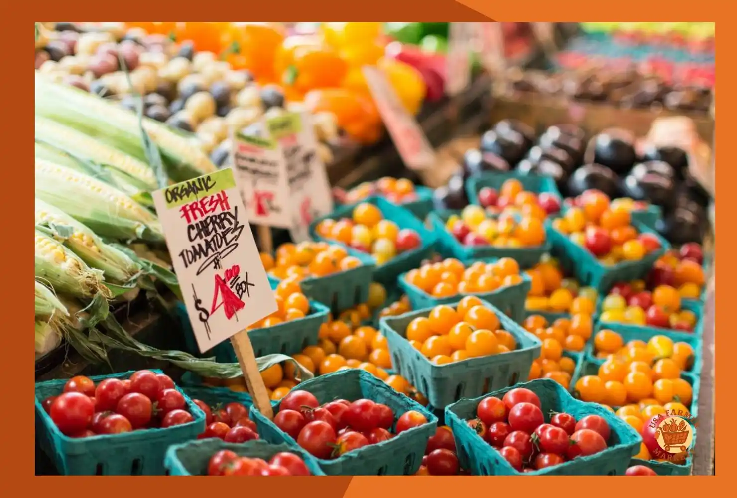 Farmers Market Marketing and Branding Strategies