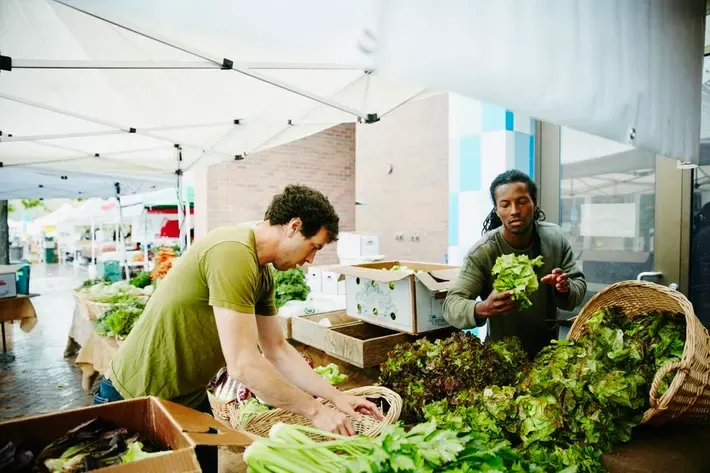 Farmers Markets Measure Success and Grow