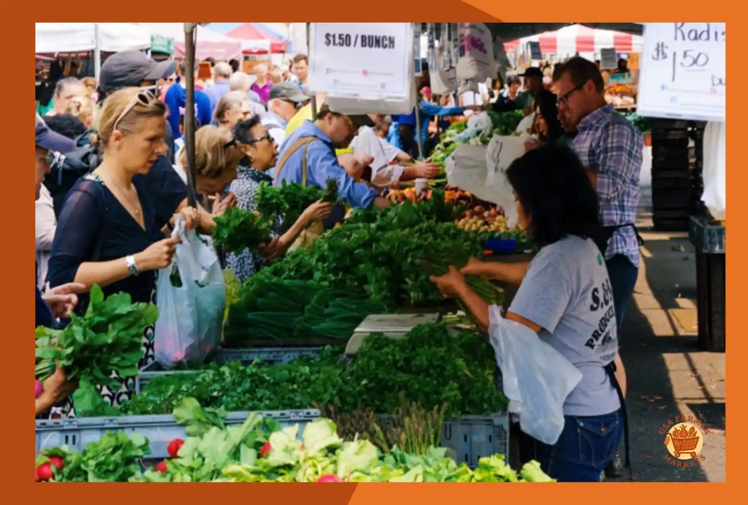 How to Operate a Farmers Market Safely and Legally