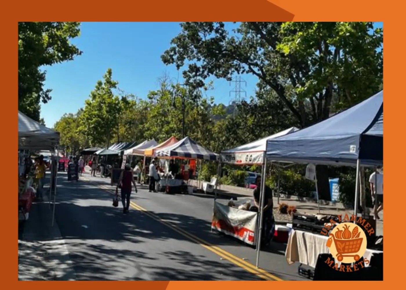 Orinda CCCFM Farmers Market California