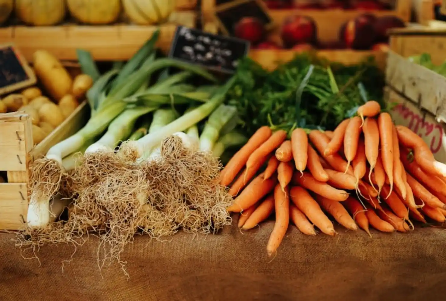 Run a Farmers Market Feasibility Study