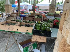 artisan crafts at pavilion farmer’s market