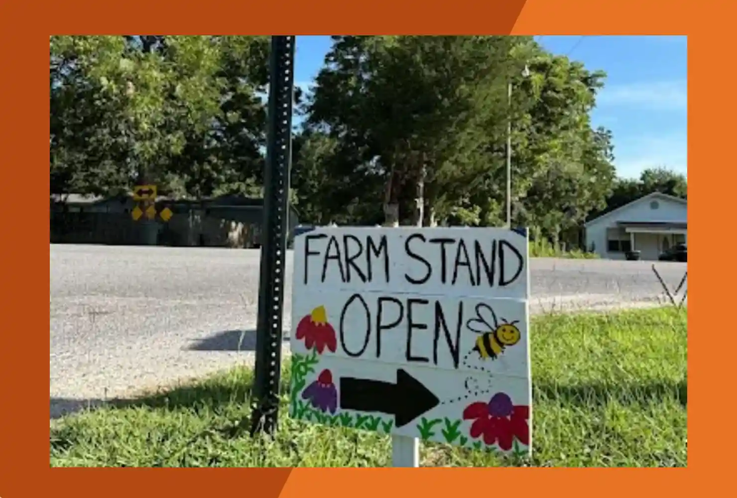 charming chukwuma farmers market