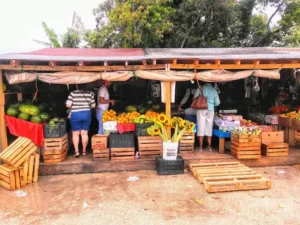 fresh tropical fruits at maria corona produce market in miami