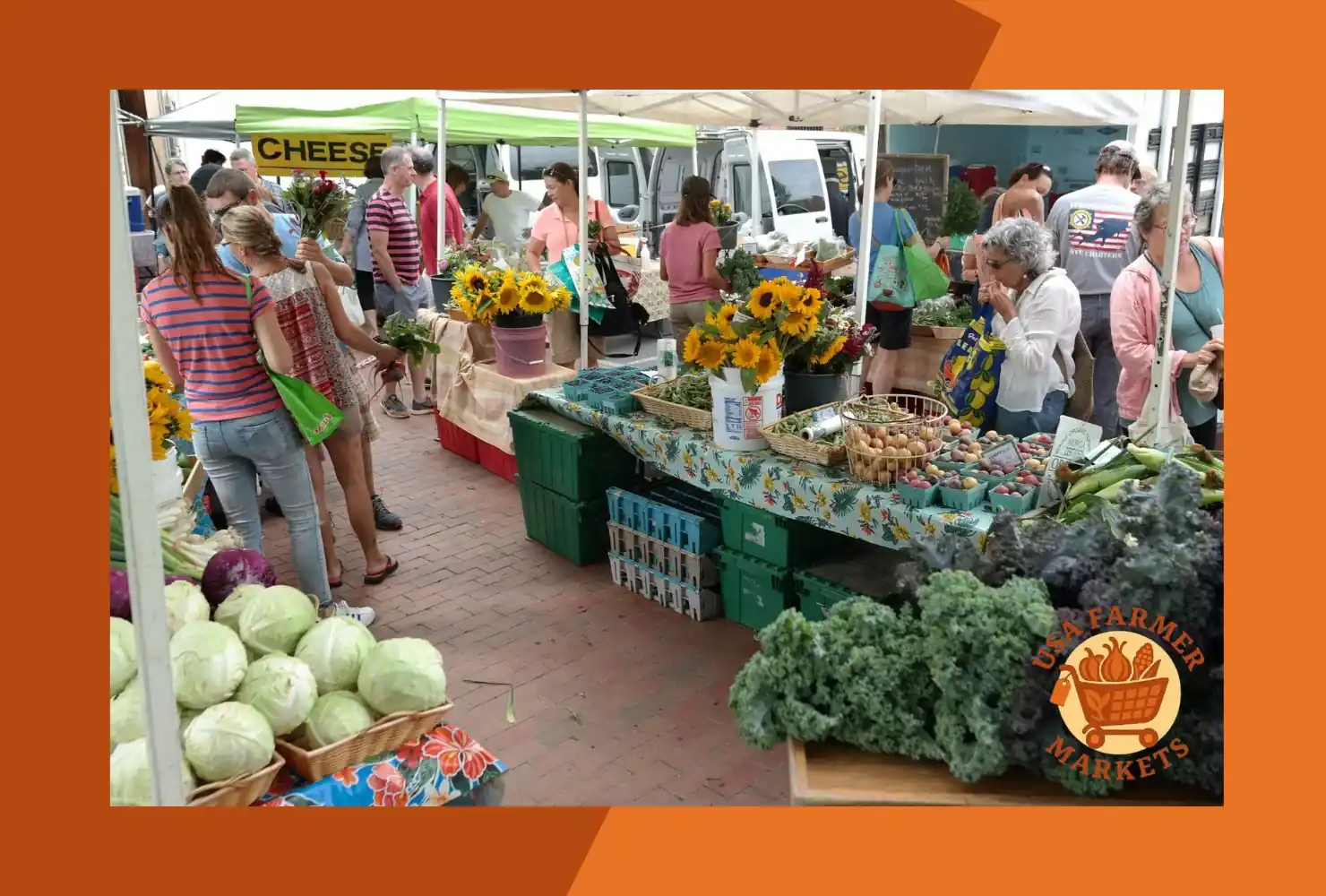 maine farmers markets
