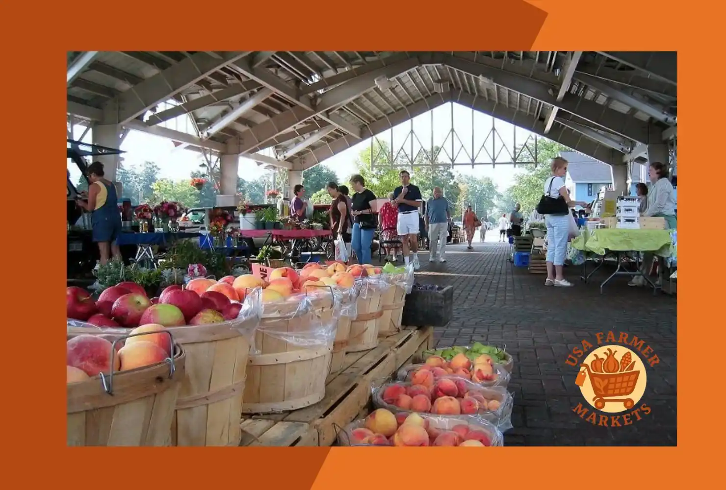 michigan farmers markets