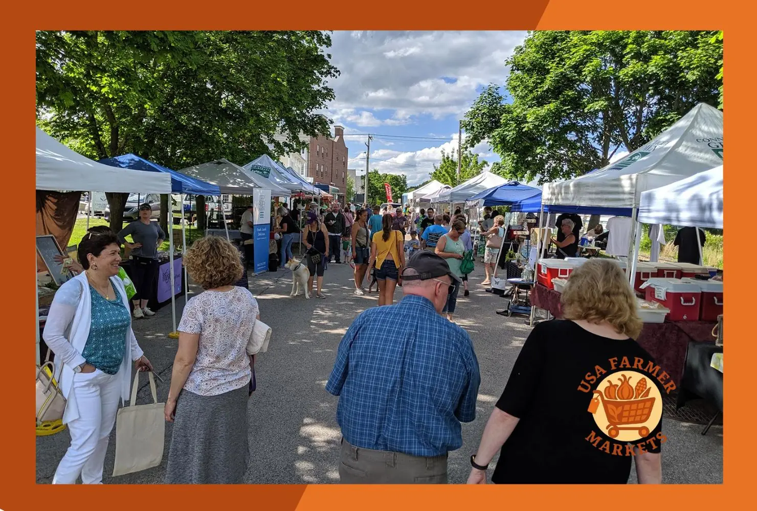 niantic farmers market