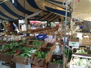organic produce display at coconut grove farmer’s market
